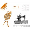 FORFAIT D'ÉTÉ 25H00